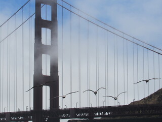 Fototapeta premium GOLDEN GATE