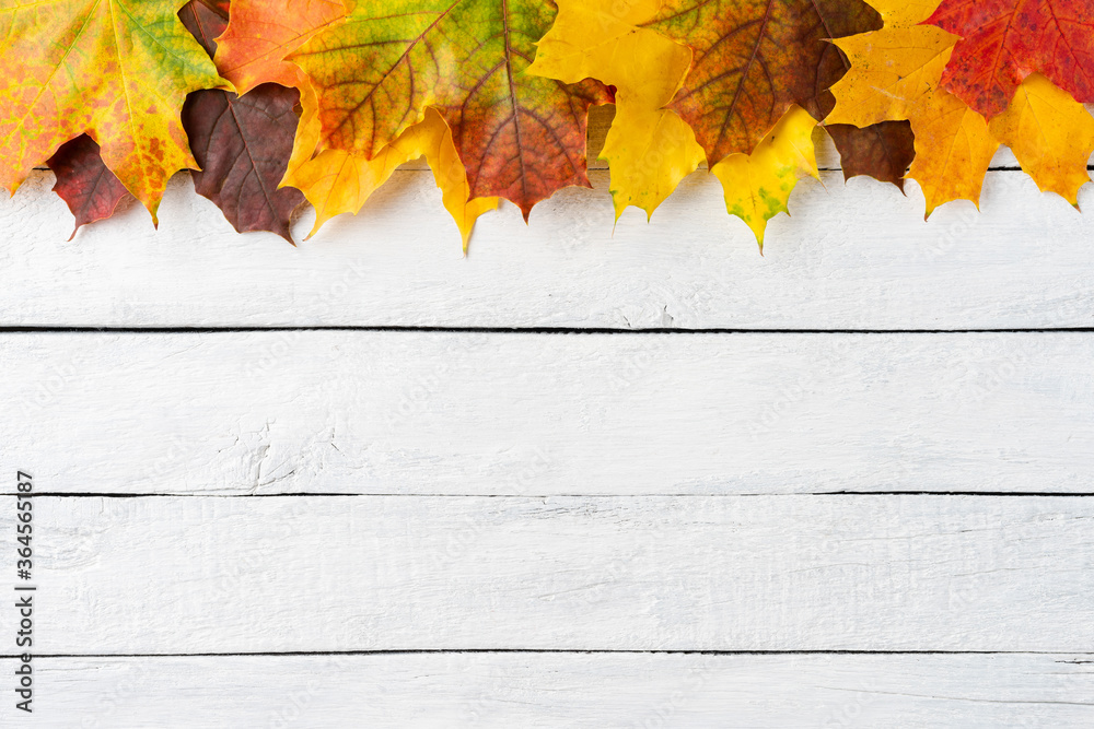 Wall mural Composition of autumn leaves on white wooden table. Thanksgiving concept