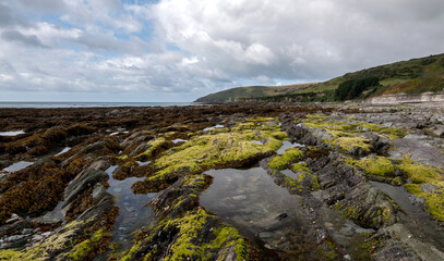 Sunny day Looe Bay