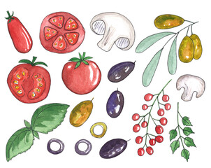 Hand painted watercolor illustrations of a lot of tasty vegetable ingredients. Isolated food illustrations for restaurants and cooking. Tomatoes, mushrooms, olives and basil.