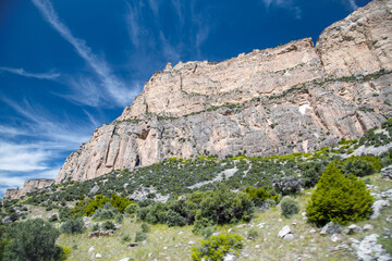 Bighorn National Forest, Wyoming, USA