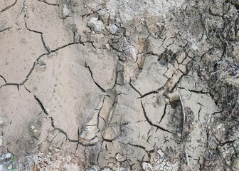 Cracked ground background. Drought ground pattern