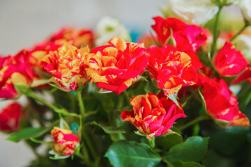 Colorful beautiful flowers bouquet - roses at studio, flower shop - close up view. Floristry, romantic, holiday, birthday, valentine day, wedding, celebration concept