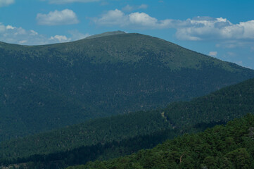 Naklejka premium góry szczyty las niebo drzewa hiszpania