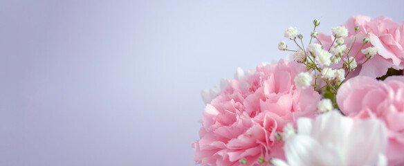 pink and white flowers