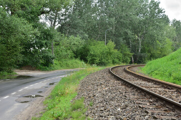 Railroad tracks and asphalt road turn between trees.