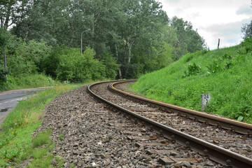 Railroad tracks and asphalt road turn between trees.