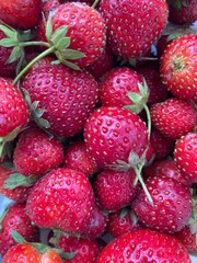 Freshly picked mini wild strawberries the perfect summer snack