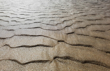 Ripples in the sand