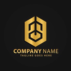 3D Gold Hexagonal Real Estate Modern Company Abstract Logos Design Vector Illustration