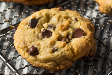 Homemade Warm Chocolate Chip Cookies