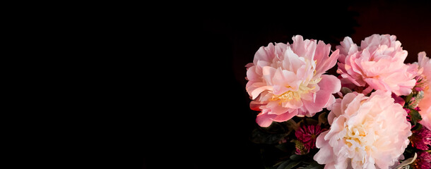 Obraz premium Floral header with pink peonies, black background, space for text and design, horizontal wide layout, moody \ sunset theme