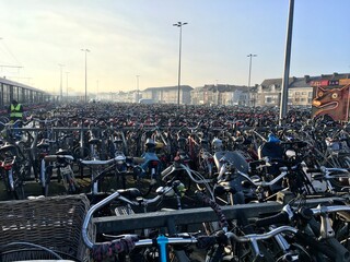 bicycles in amsterdam