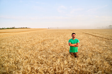 Happy farmer proudly standing in wheat field with arms crossed on chest. Agronomist wearing corporate uniform, looking at camera on farmland. Rich harvest of cultivated cereal crop. Harvesting season.