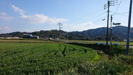 Obraz premium 田舎1