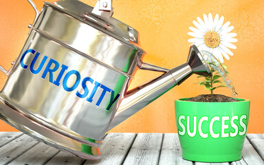 Curiosity helps achieving success - pictured as word Curiosity on a watering can to symbolize that Curiosity makes success grow and it is essential for profit in life and business, 3d illustration - obrazy, fototapety, plakaty