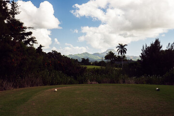 Golf terrain with golf ball, Kauai Hawaii USA