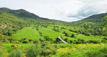 Obraz premium Carretera y puente sobre el río Guadiaro cerca de El Colmenar. Parque Natural de los Alcornocales Andalucía España