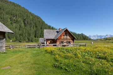 Alte Almhütte in der Steiermark, Österreich, Europa
