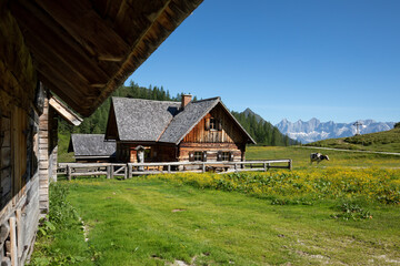 Alte Almhütte in der Steiermark, Österreich, Europa