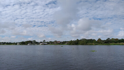 swamp, pantano, lake, river, río, spanish moss