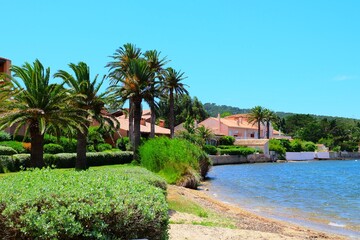Fototapeta na wymiar Landscape of Porquerolles island, France