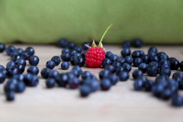 scattered ripe, large blueberries around, raspberries. Dark gray and green background, close up
