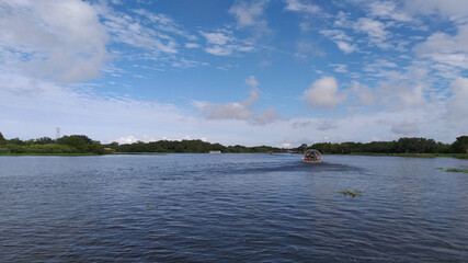 swamp, pantano, lake, river, río, spanish moss