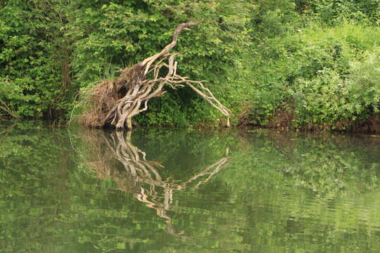 รูปภาพRiedenburg – เลือกดูภาพถ่ายสต็อก เวกเตอร์ และวิดีโอ342 | Adobe Stock