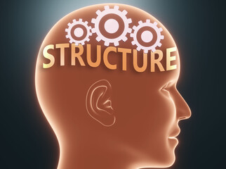 Structure inside human mind - pictured as word Structure inside a head with cogwheels to symbolize that Structure is what people may think about and that it affects their behavior, 3d illustration
