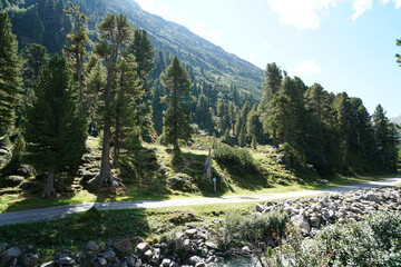 Hiking trails in the Bavarian Forest in spring
