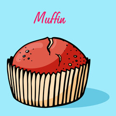 Cupcake collection with different flavors