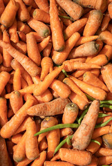 Carrot Vegetable Background and Wallpaper in Vertical Orientation