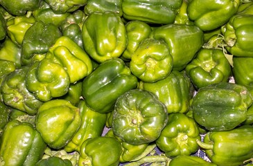 Plakat Capsicum or Bell Pepper in an Indian Vegetable Market for Selling, Perfect for Background and Wallpaper