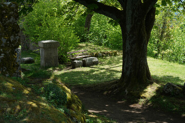 Hiking trails in the Bavarian Forest in spring