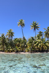 Obraz premium Lagon turquoise et plage paradisiaque à Taha'a, Polynésie française