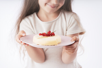 Homemade tasty cheesecake with chocolate in a plate isolated