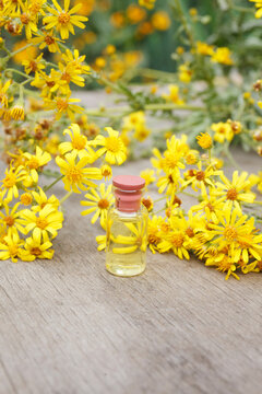 Ragwort essential oil (extract, tincture) container with Ragwort yellow flowers and leaves. Senecio vulgaris on wooden background
