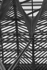 Abstract Pattern of Beams in Office Building Entrance