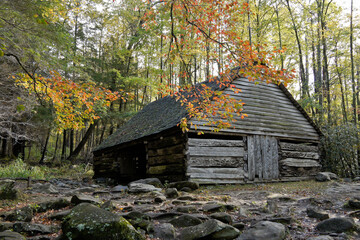 Autumn foliage and old wood barn at the Noah 