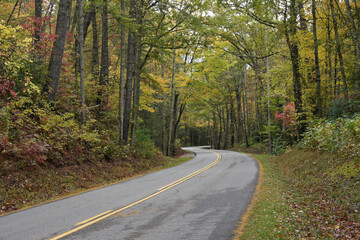 Autumn foliage along Little River Road, Great Smoky Mountains National Park, Tennessee