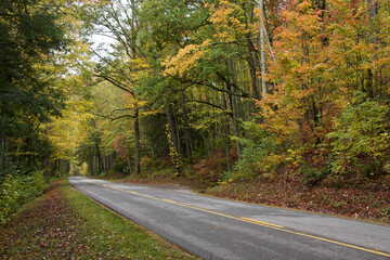 Obraz premium Autumn foliage along Little River Road, Great Smoky Mountains National Park, Tennessee