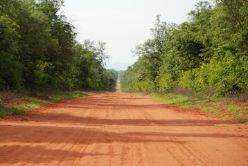 Szutrowa droga z czerwoną ziemią prowadząca do Parku Narodowego Mana Pools w Zimbabwe w Afryce.