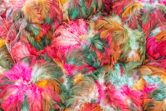 Colourful Feather Dusters