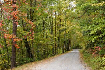 Autumn foliage along Rich Mountain Road out of Cades Cove, Great Smoky Mountains National Park, Tennessee
