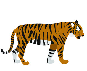 Vector illustration of a wild tiger