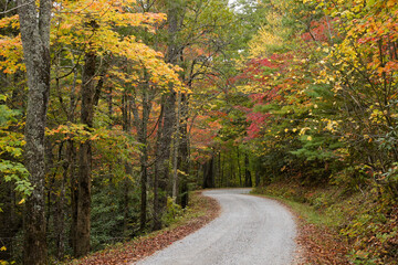 Autumn foliage along Rich Mountain Road out of Cades Cove, Great Smoky Mountains National Park, Tennessee