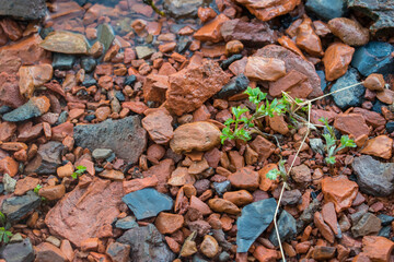 Red stones, broken bricks lying in the water, light waves