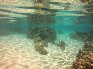 Jardin de corail de Taha'a, Polynésie française