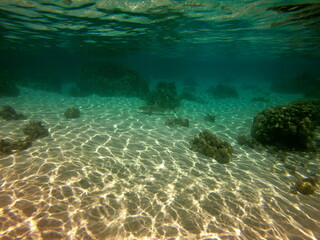Jardin de corail de Taha'a, Polynésie française